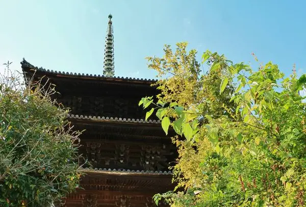 尾道市の写真・動画_image_257593