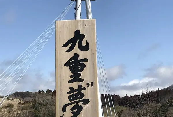 九重“夢”大吊橋の写真・動画_image_257636