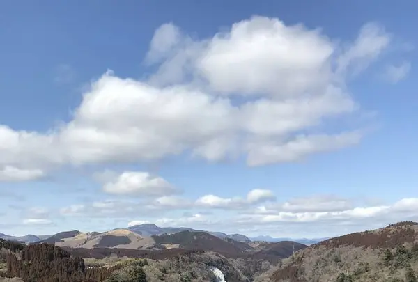 九重“夢”大吊橋の写真・動画_image_257650