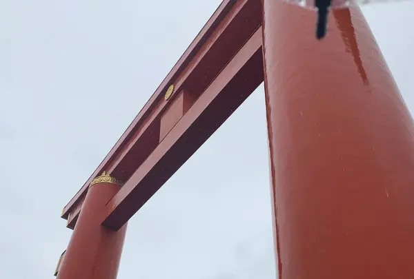 平安神宮の写真・動画_image_257810