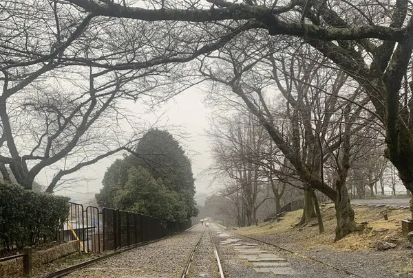 蹴上インクラインの写真・動画_image_257814