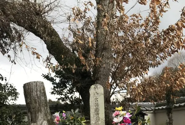 竹中半兵衛の墓の写真・動画_image_258067