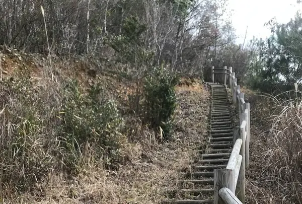平井山ノ上付城跡(秀吉本陣跡)の写真・動画_image_258076