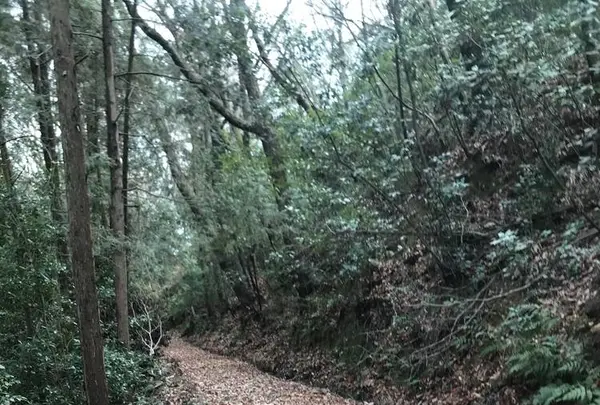 竹中半兵衛陣所跡の写真・動画_image_258080