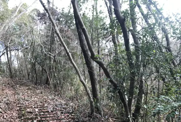 竹中半兵衛陣所跡の写真・動画_image_258081