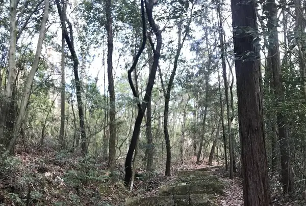竹中半兵衛陣所跡の写真・動画_image_258083