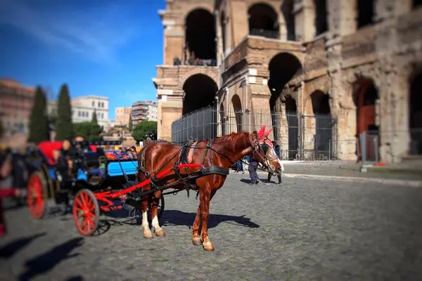 Colosseo （コロッセオ）の写真・動画_image_258279
