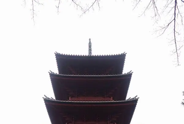 池上本門寺の写真・動画_image_258288