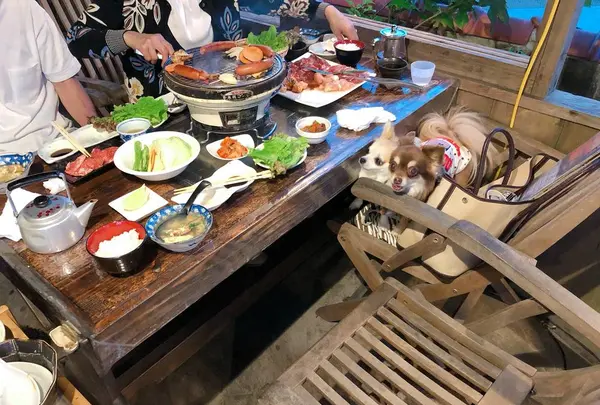 日の出焼肉店の写真・動画_image_258325