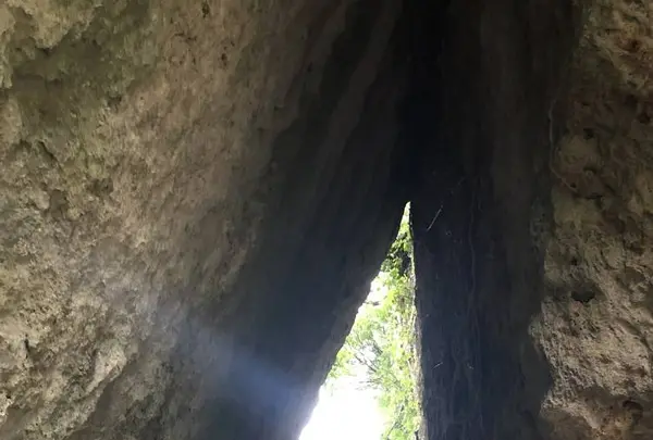 斎場御嶽の写真・動画_image_258326