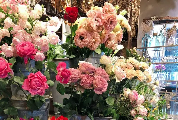 BOOMの写真・動画_image_258451