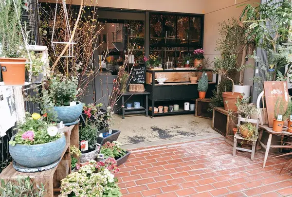 BOOMの写真・動画_image_258452