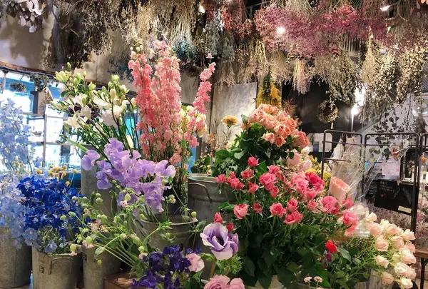 BOOMの写真・動画_image_258453