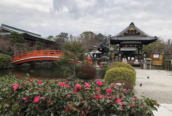 神泉苑の写真・動画_image_258459