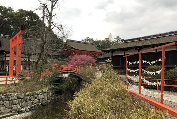 下鴨神社（賀茂御祖神社）の写真・動画_image_258464