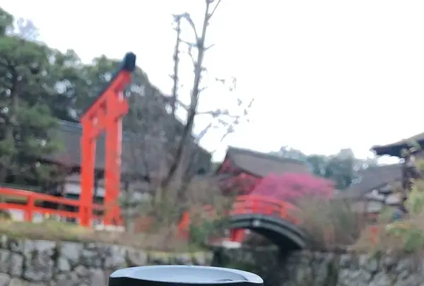 下鴨神社（賀茂御祖神社）の写真・動画_image_258466