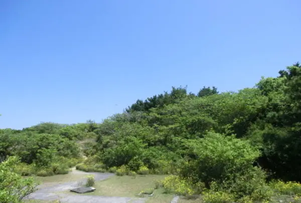 友ヶ島子午線広場の写真・動画_image_259176