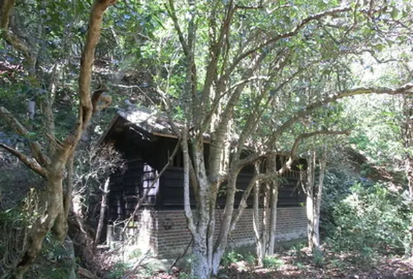 第五砲台跡の写真・動画_image_259186