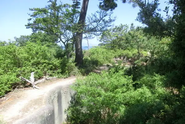 第五砲台跡の写真・動画_image_259189