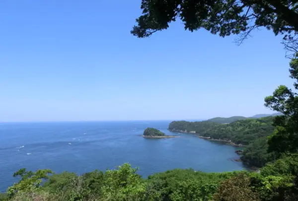 友ヶ島の写真・動画_image_259193