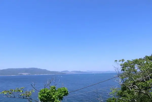 友ヶ島の写真・動画_image_259194