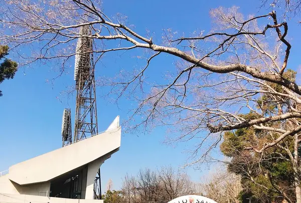 西京極総合運動公園 陸上競技場兼球技場の写真・動画_image_259200