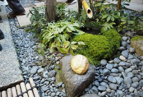 ひがし茶屋街の写真・動画_image_259239