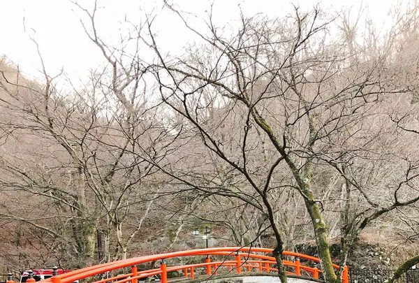 河鹿橋の写真・動画_image_259265