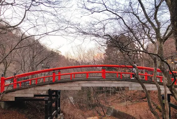 河鹿橋の写真・動画_image_259266