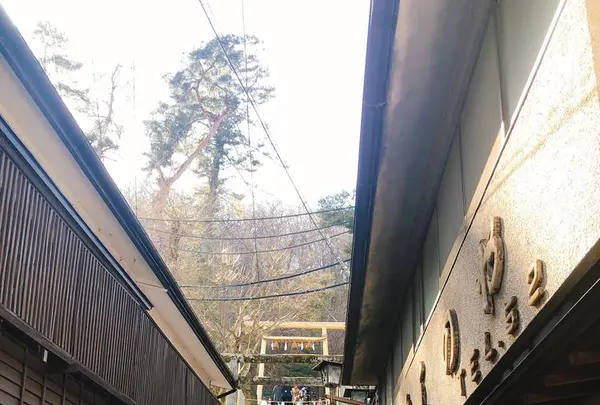伊香保神社の写真・動画_image_259267
