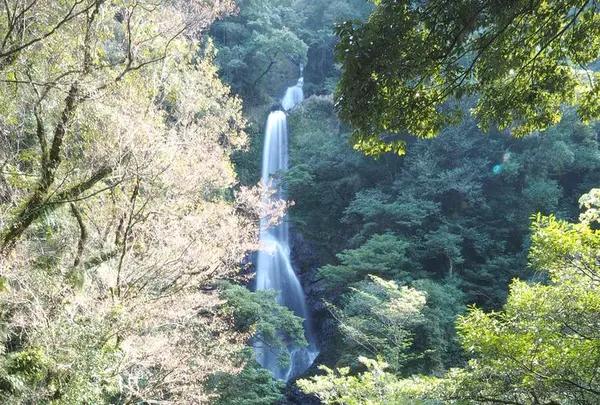 神門神社の写真・動画_image_259343