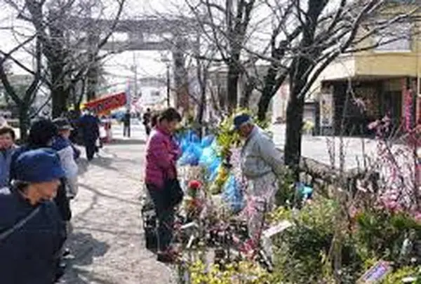 菊池市隈府御所通りの写真・動画_image_259766