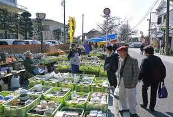 菊池市隈府御所通りの写真・動画_image_259767