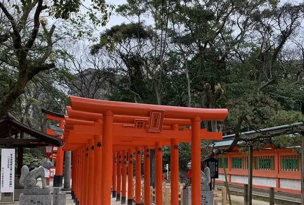 住吉大社の写真・動画_image_259942