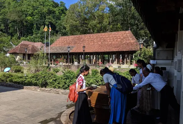 佛歯寺の写真・動画_image_260148