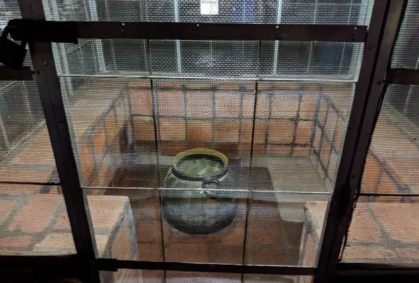 ダンブッラ石窟寺院の写真・動画_image_260172