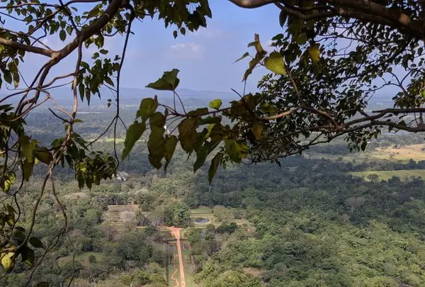 Sigiriya Lion Rockの写真・動画_image_260449