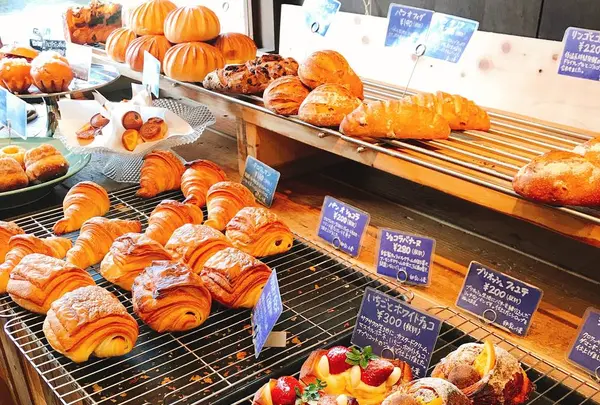 Ｂｏｕｌａｎｇｅｒｉｅ・ｎｉｃｏの写真・動画_image_260588