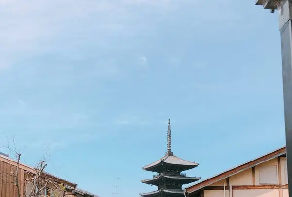 高台寺の写真・動画_image_260608