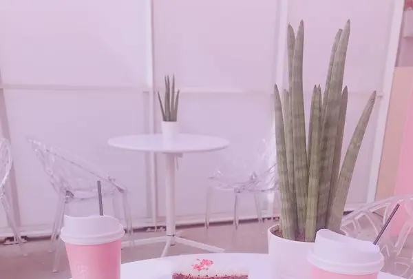 Orbit Cafe & Guest Houseの写真・動画_image_260787