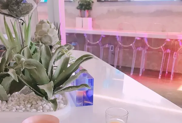 Orbit Cafe & Guest Houseの写真・動画_image_260788