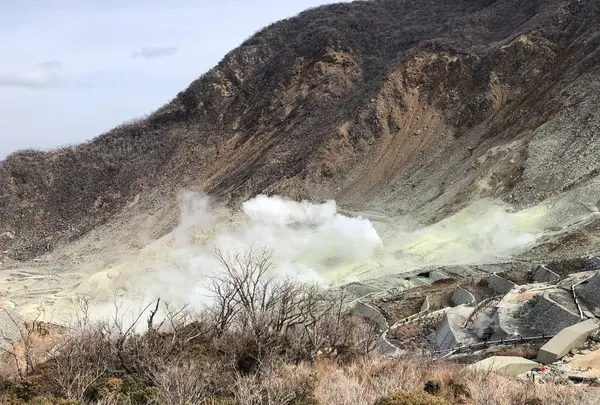大涌谷の写真・動画_image_260941
