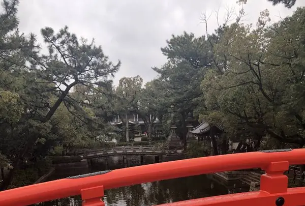 住吉大社の写真・動画_image_261031