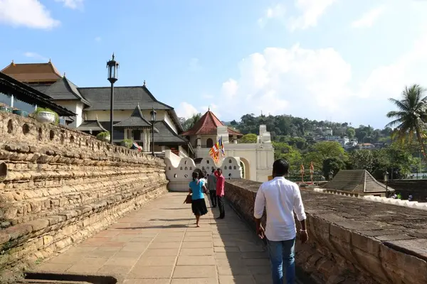 佛歯寺の写真・動画_image_261084