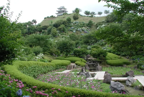 あじさい公園の写真・動画_image_261172