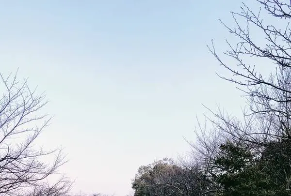 蹴上インクラインの写真・動画_image_261338