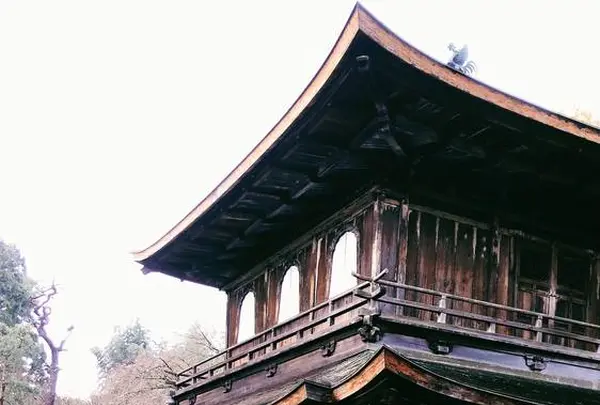 銀閣寺(東山慈照寺)の写真・動画_image_261348