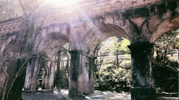 南禅寺の写真・動画_image_261357