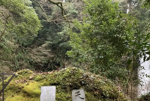 浄蓮の滝の写真・動画_image_261518