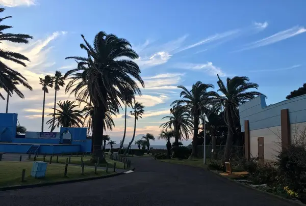 【閉業】京急油壺マリンパークの写真・動画_image_261765